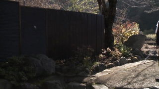 Japanese mature wife outdoor affair full scene